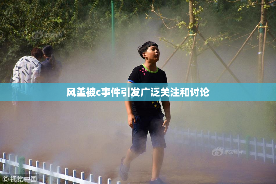 风堇被c事件引发广泛关注和讨论