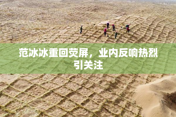范冰冰重回荧屏，业内反响热烈引关注