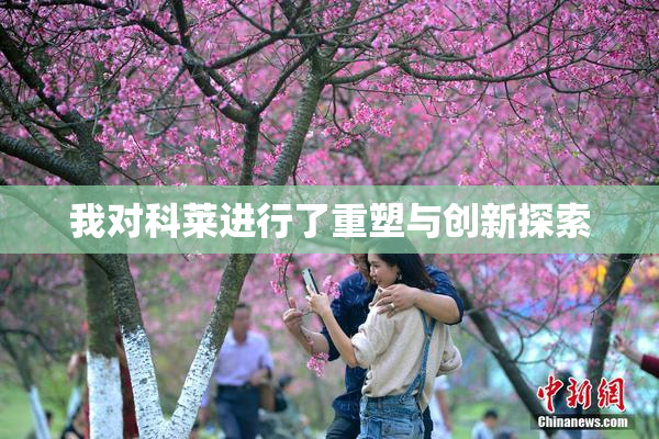 我对科莱进行了重塑与创新探索