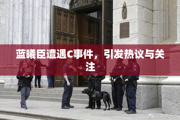 蓝曦臣遭遇C事件，引发热议与关注