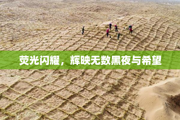 荧光闪耀，辉映无数黑夜与希望