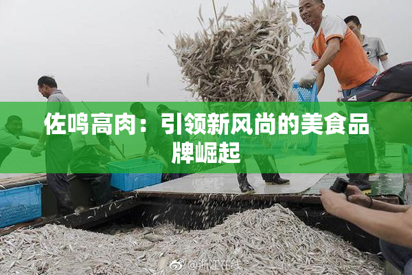 佐鸣高肉：引领新风尚的美食品牌崛起
