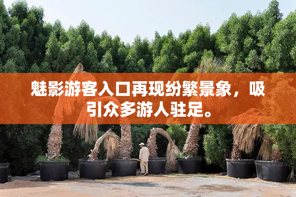 魅影游客入口再现纷繁景象，吸引众多游人驻足。