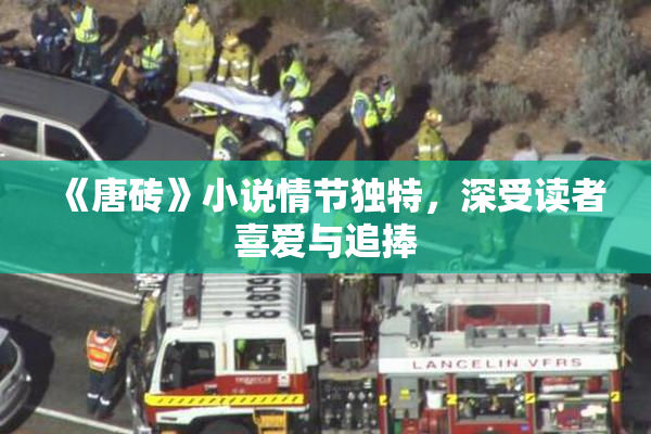 《唐砖》小说情节独特，深受读者喜爱与追捧
