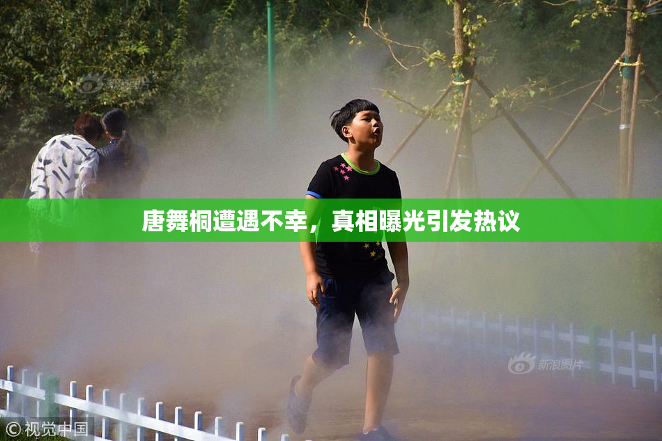 唐舞桐遭遇不幸，真相曝光引发热议