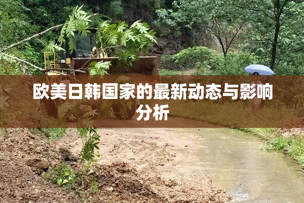 欧美日韩国家的最新动态与影响分析