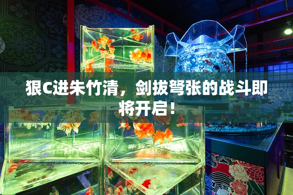 狠C进朱竹清，剑拔弩张的战斗即将开启！