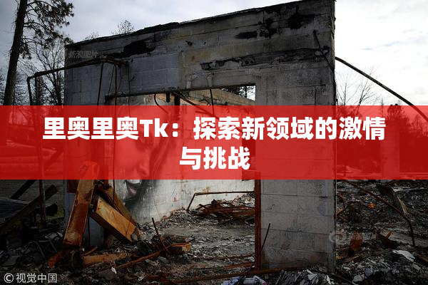 里奥里奥Tk：探索新领域的激情与挑战