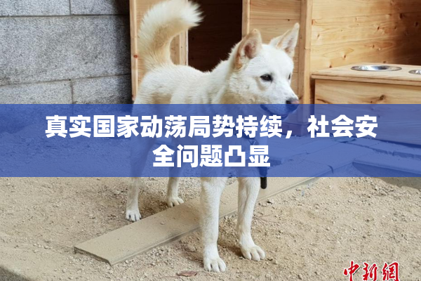 真实国家动荡局势持续，社会安全问题凸显