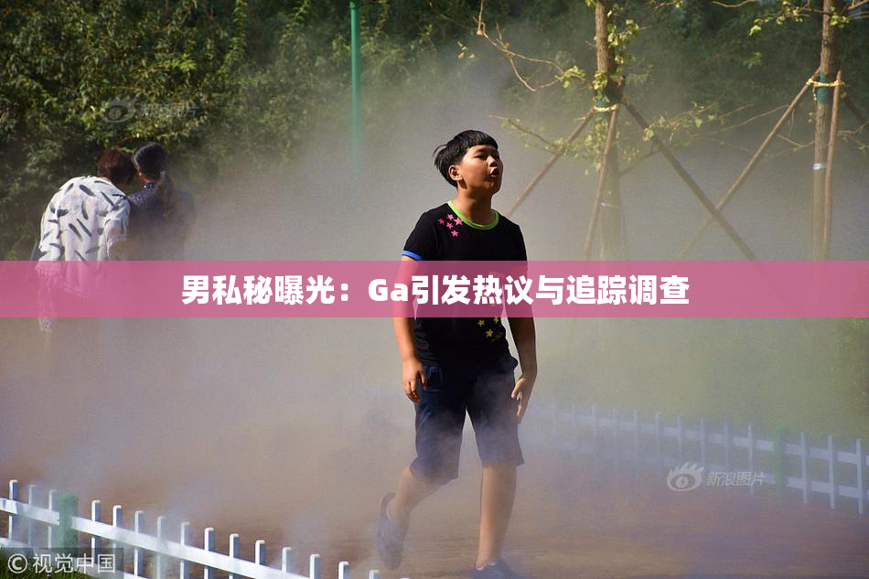 男私秘曝光：Ga引发热议与追踪调查