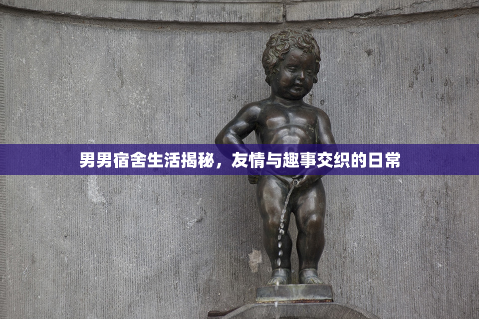 男男宿舍生活揭秘，友情与趣事交织的日常