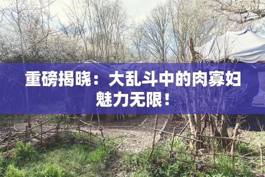 重磅揭晓：大乱斗中的肉寡妇魅力无限！