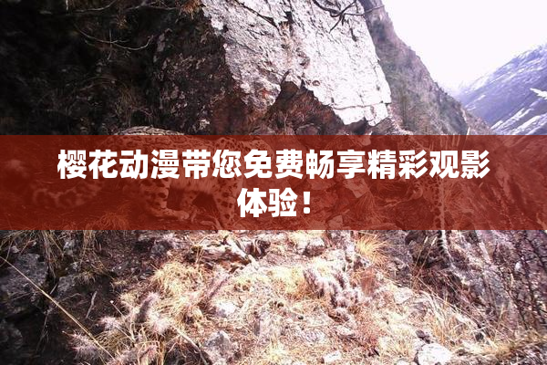 樱花动漫带您免费畅享精彩观影体验！