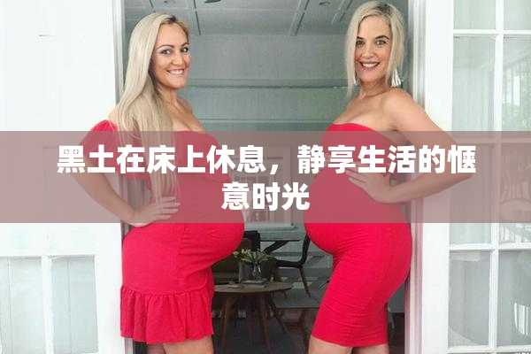 黑土在床上休息，静享生活的惬意时光