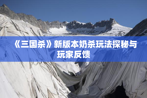 《三国杀》新版本奶杀玩法探秘与玩家反馈