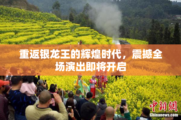 重返银龙王的辉煌时代，震撼全场演出即将开启