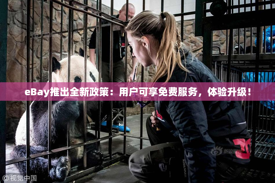 eBay推出全新政策：用户可享免费服务，体验升级！