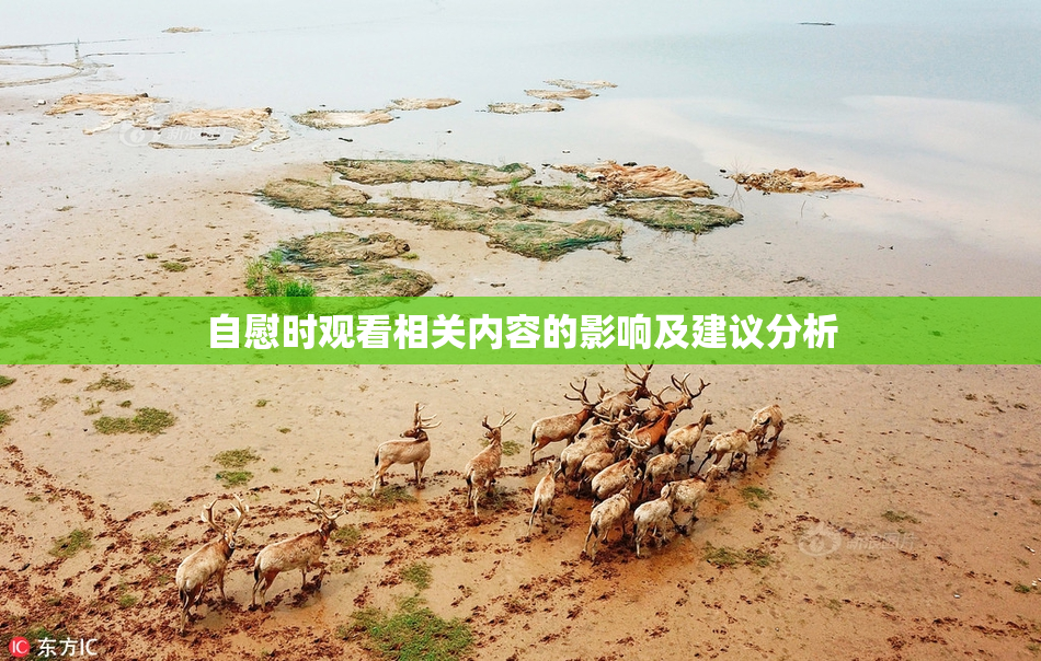 自慰时观看相关内容的影响及建议分析