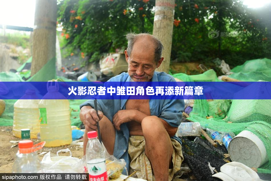 火影忍者中雏田角色再添新篇章