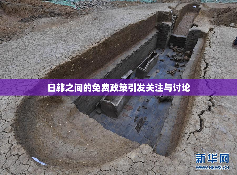 日韩之间的免费政策引发关注与讨论