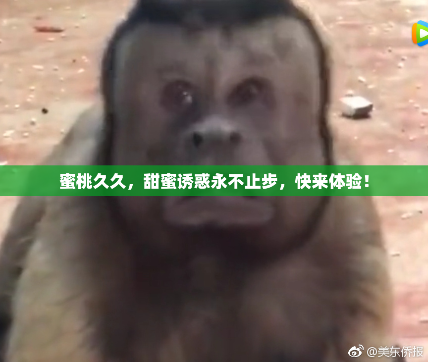 蜜桃久久，甜蜜诱惑永不止步，快来体验！
