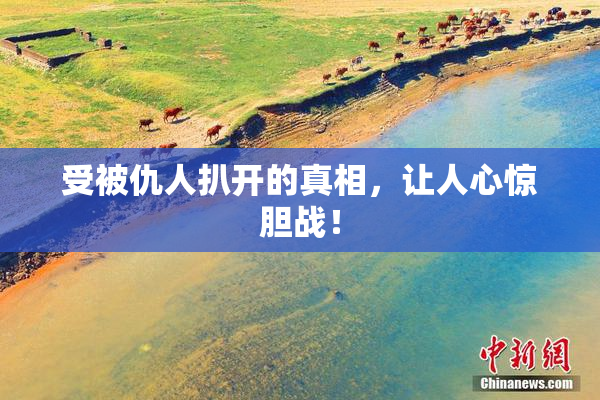 受被仇人扒开的真相，让人心惊胆战！