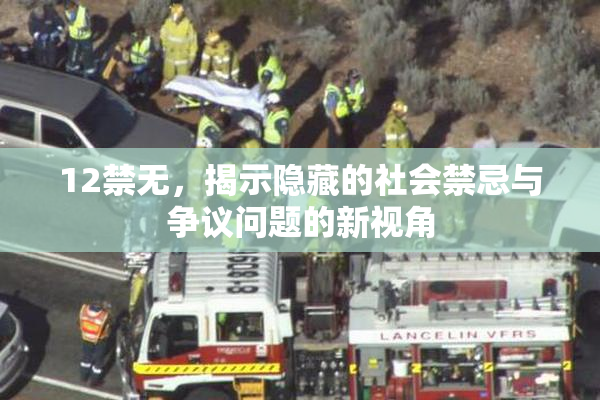 12禁无，揭示隐藏的社会禁忌与争议问题的新视角
