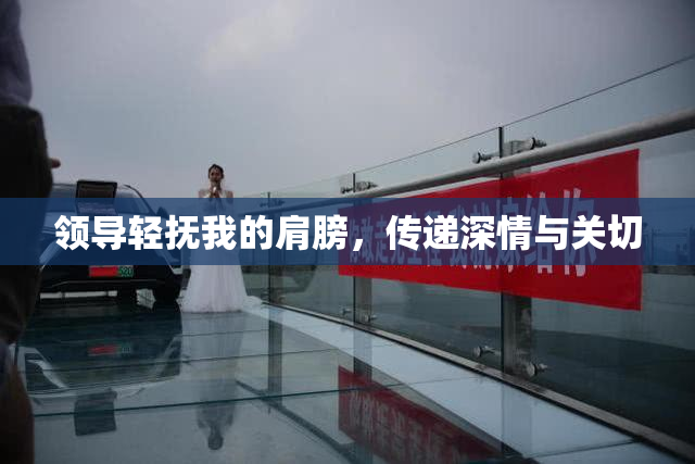 领导轻抚我的肩膀，传递深情与关切
