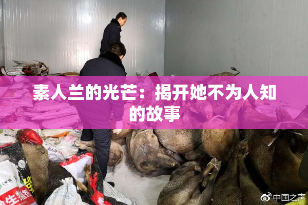 素人兰的光芒：揭开她不为人知的故事