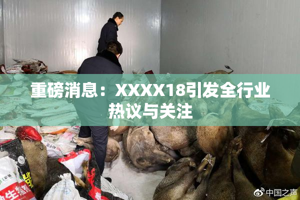 重磅消息：XXXX18引发全行业热议与关注