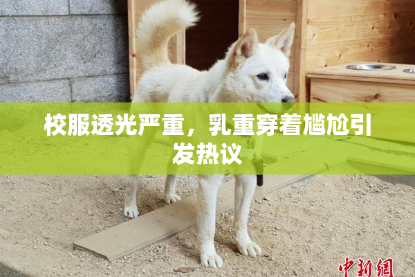 校服透光严重，乳重穿着尴尬引发热议