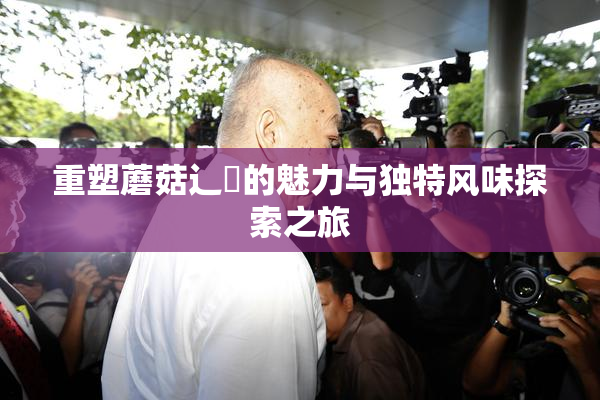 重塑蘑菇辶喿的魅力与独特风味探索之旅