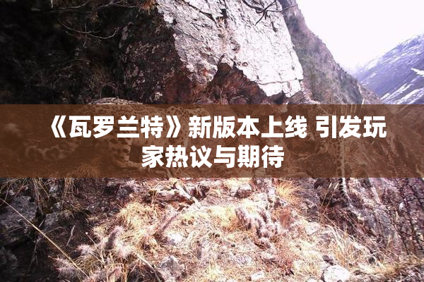 《瓦罗兰特》新版本上线 引发玩家热议与期待