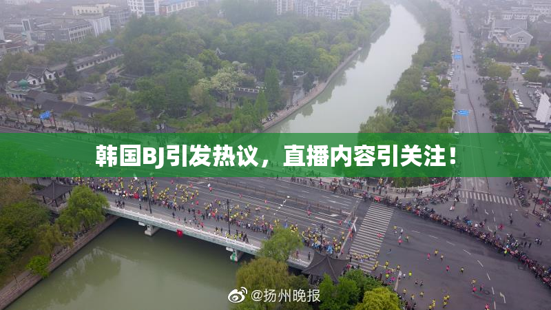 韩国BJ引发热议，直播内容引关注！
