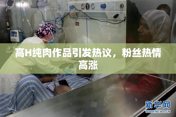 高H纯肉作品引发热议，粉丝热情高涨