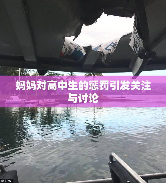 妈妈对高中生的惩罚引发关注与讨论