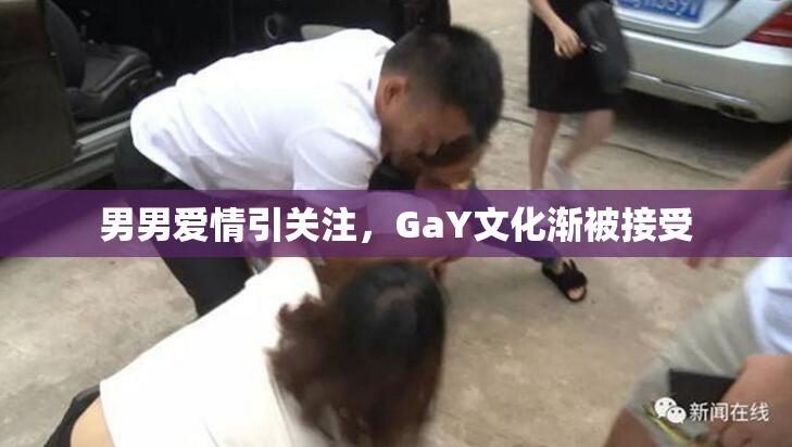 男男爱情引关注，GaY文化渐被接受