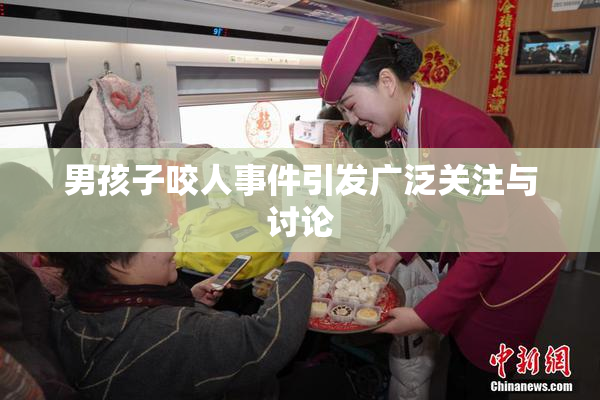 男孩子咬人事件引发广泛关注与讨论
