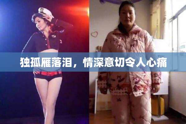 独孤雁落泪，情深意切令人心痛