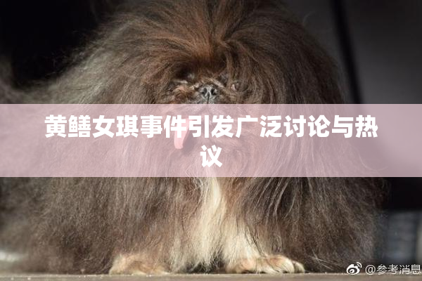 黄鳝女琪事件引发广泛讨论与热议
