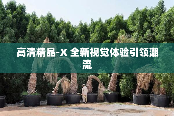 高清精品-X 全新视觉体验引领潮流