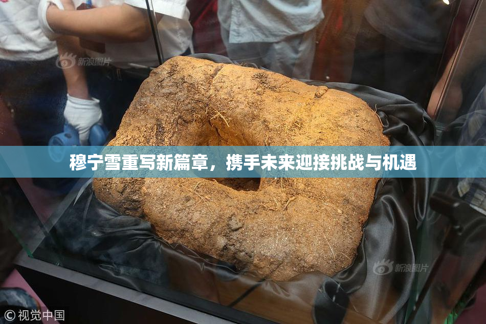 穆宁雪重写新篇章，携手未来迎接挑战与机遇