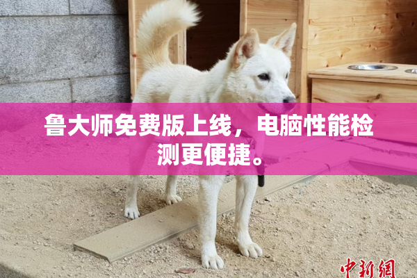 鲁大师免费版上线，电脑性能检测更便捷。