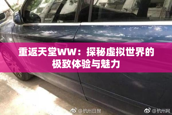 重返天堂WW：探秘虚拟世界的极致体验与魅力