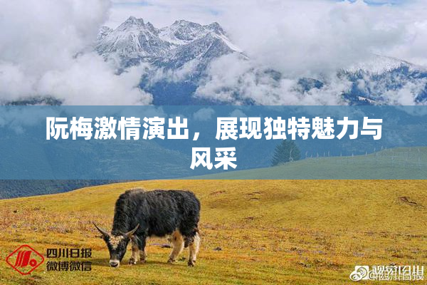 阮梅激情演出，展现独特魅力与风采