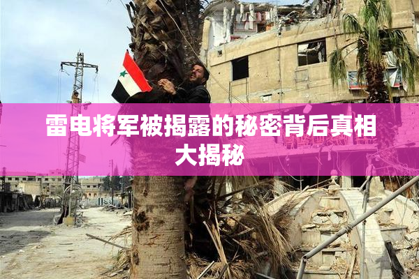 雷电将军被揭露的秘密背后真相大揭秘