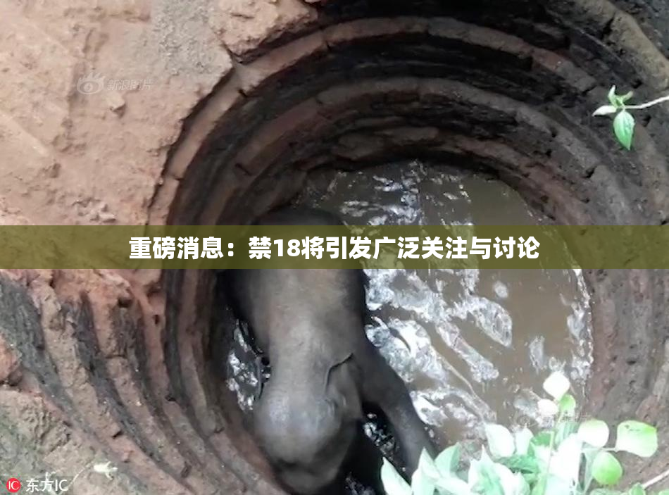 重磅消息：禁18将引发广泛关注与讨论
