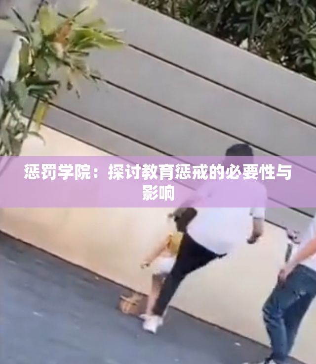 惩罚学院：探讨教育惩戒的必要性与影响