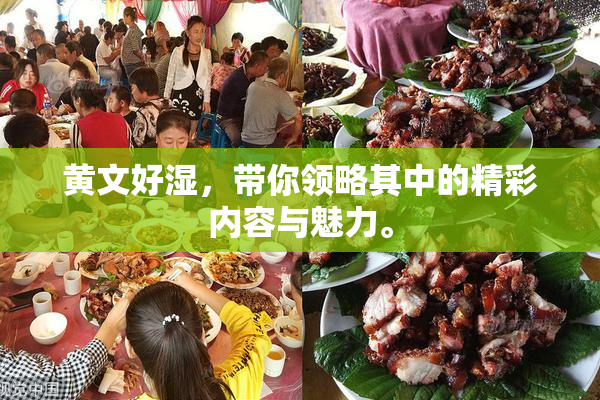 黄文好湿，带你领略其中的精彩内容与魅力。
