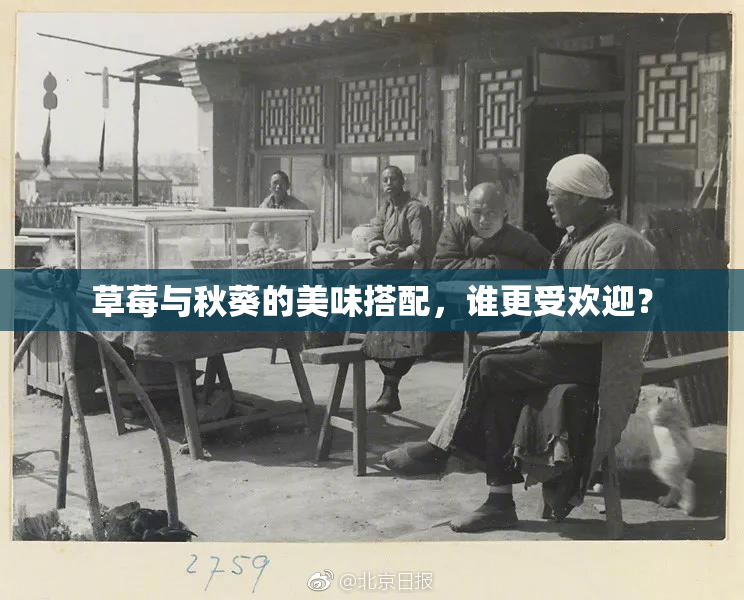 草莓与秋葵的美味搭配，谁更受欢迎？
